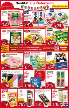Norma Flugblatt ab 17.11.2025 gültig | Seite: 13