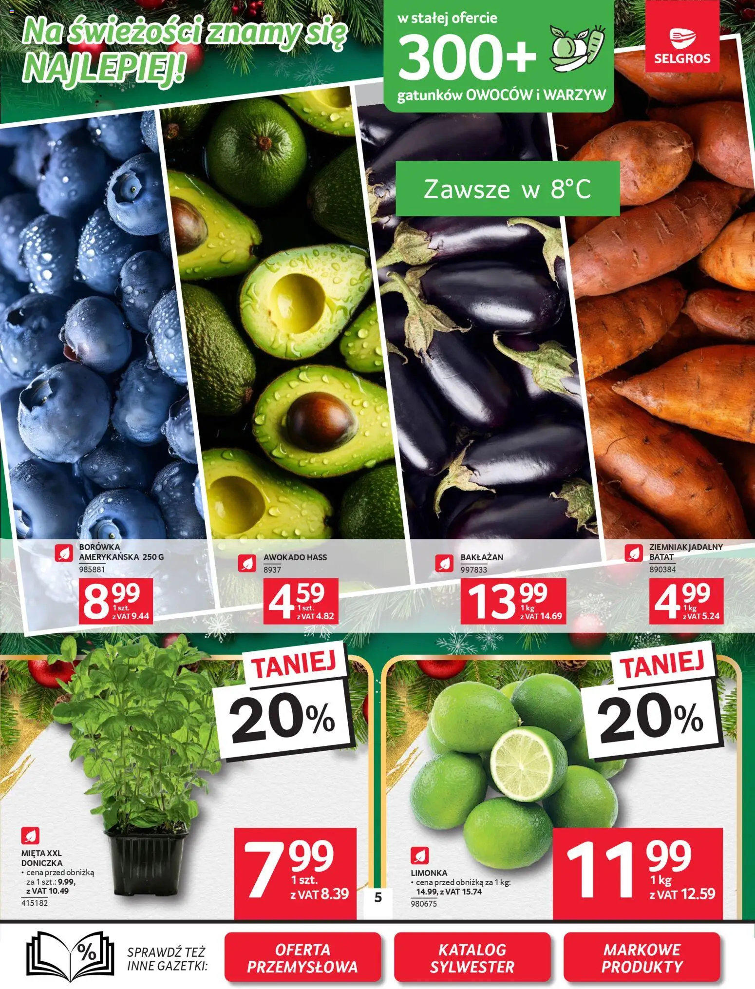 Selgros cash&carry Gazetka od 18.12.2025 | Strona: 5 | Produkty: Bakłażan, Limonka, Mięta, Awokado