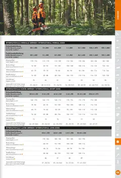 STIHL Katalog ab 01.01.2025 gültig | Seite: 381