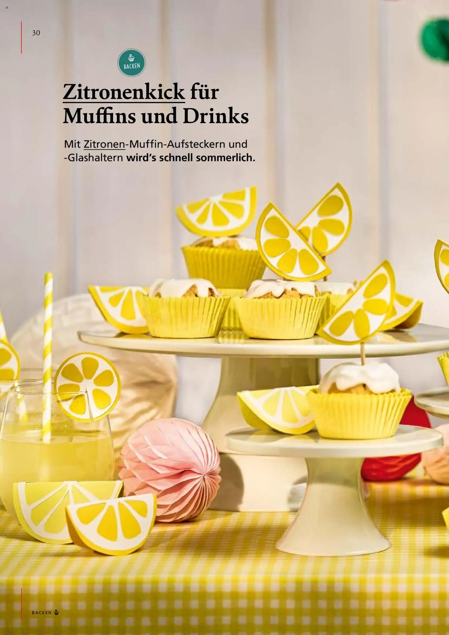 Pagro-Diskont Ideenwerk gültig ab 01.05.2026 | Seite: 30