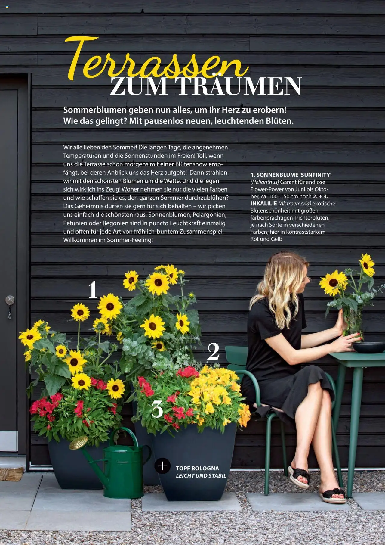 Dehner Prospekt - Deine Natur – gültig ab 23.04.2025 | Seite: 22 | Produkte: Blumen