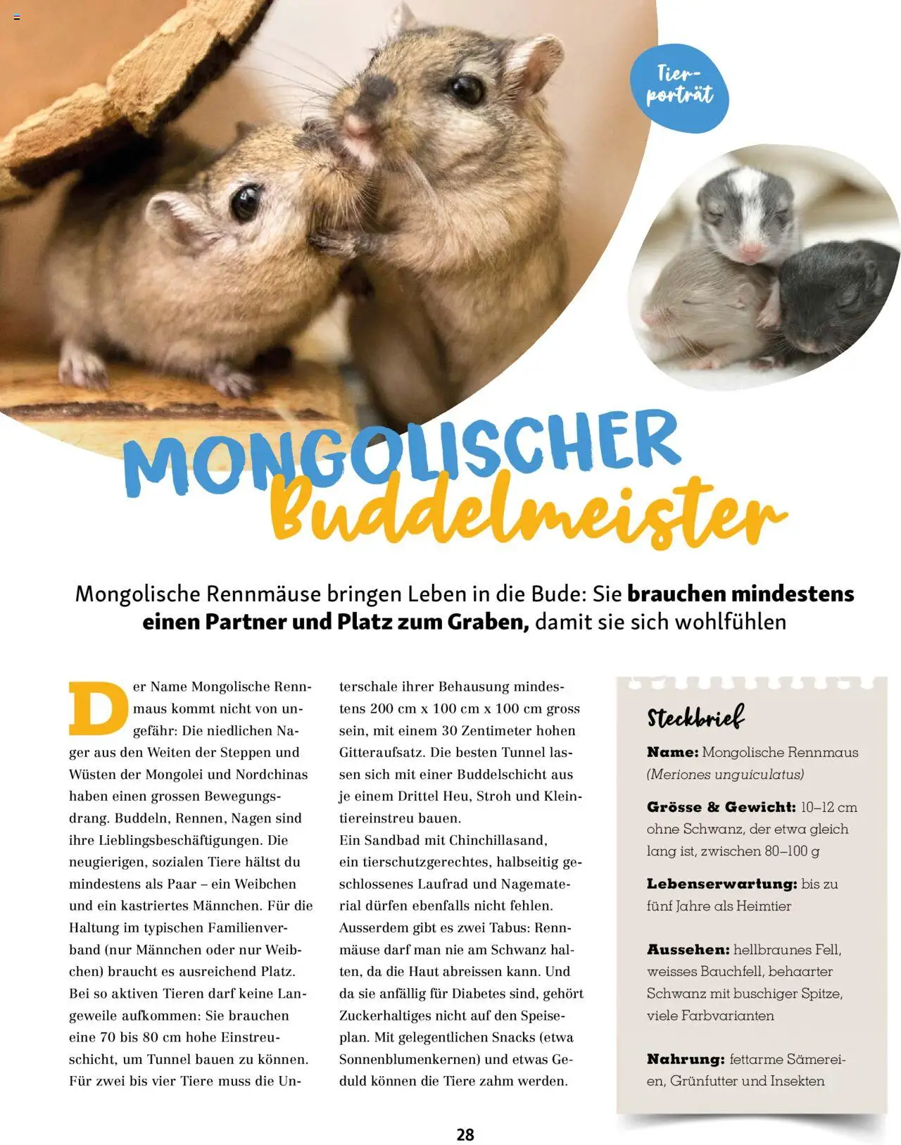 Fressnapf Magazin – gültig ab 01.09.2025 | Seite: 28 | Produkte: Maus, Gewicht