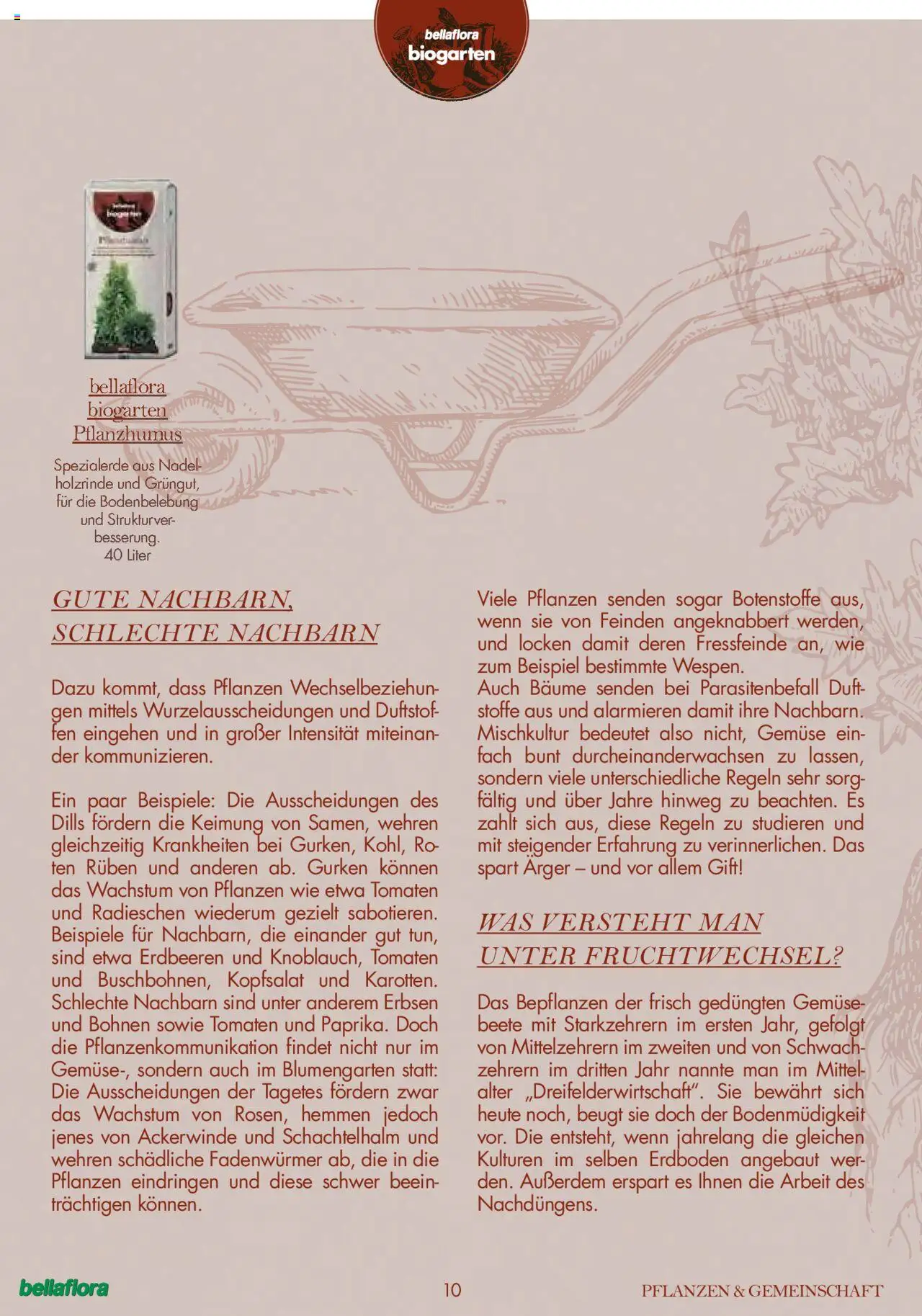 bellaflora Flugblatt gültig ab 24.06.2022 | Seite: 10