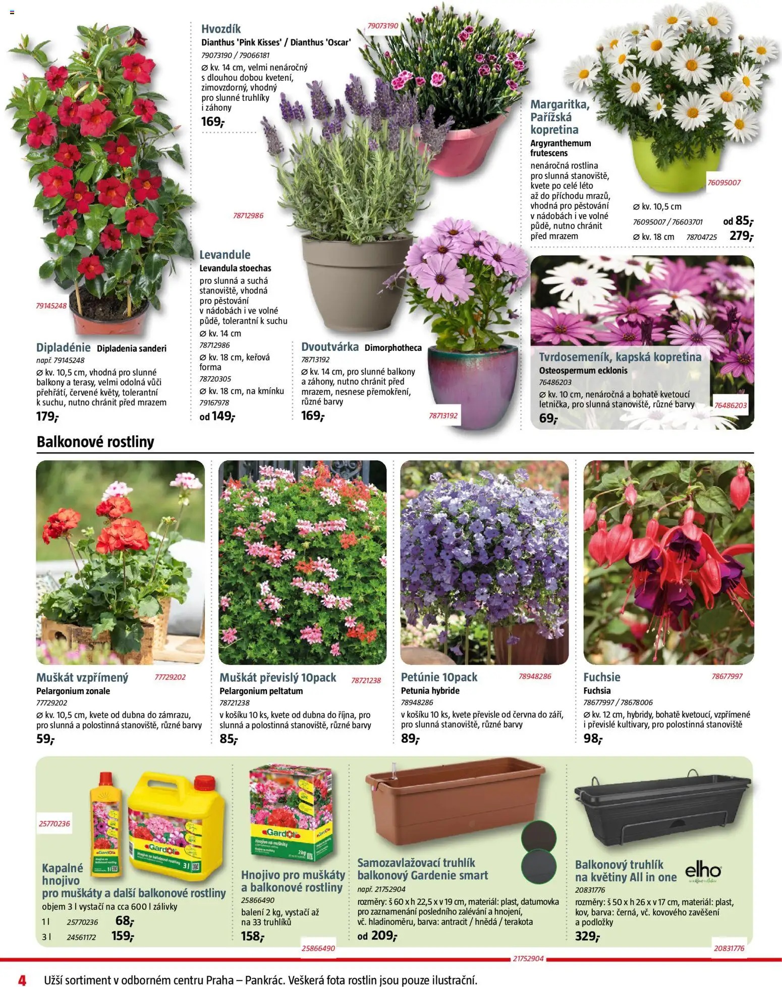 Bauhaus leták od 02.04.2026 | Strana: 4 | Produkty: Muškáty, Truhlíky, Hnojivo, Barvy