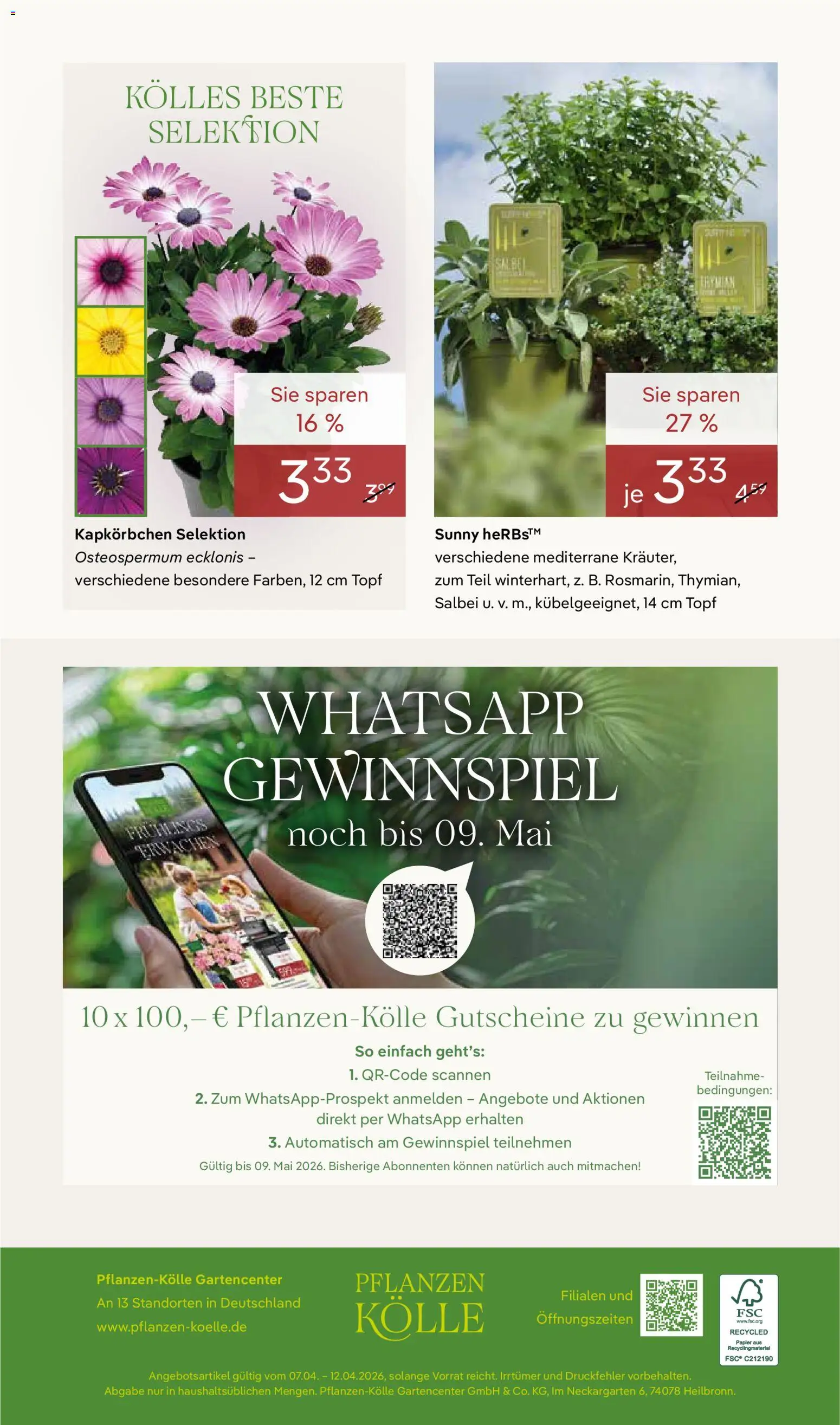 Pflanzen-Kölle Prospekt 	 – gültig ab 07.04.2026 | Seite: 16