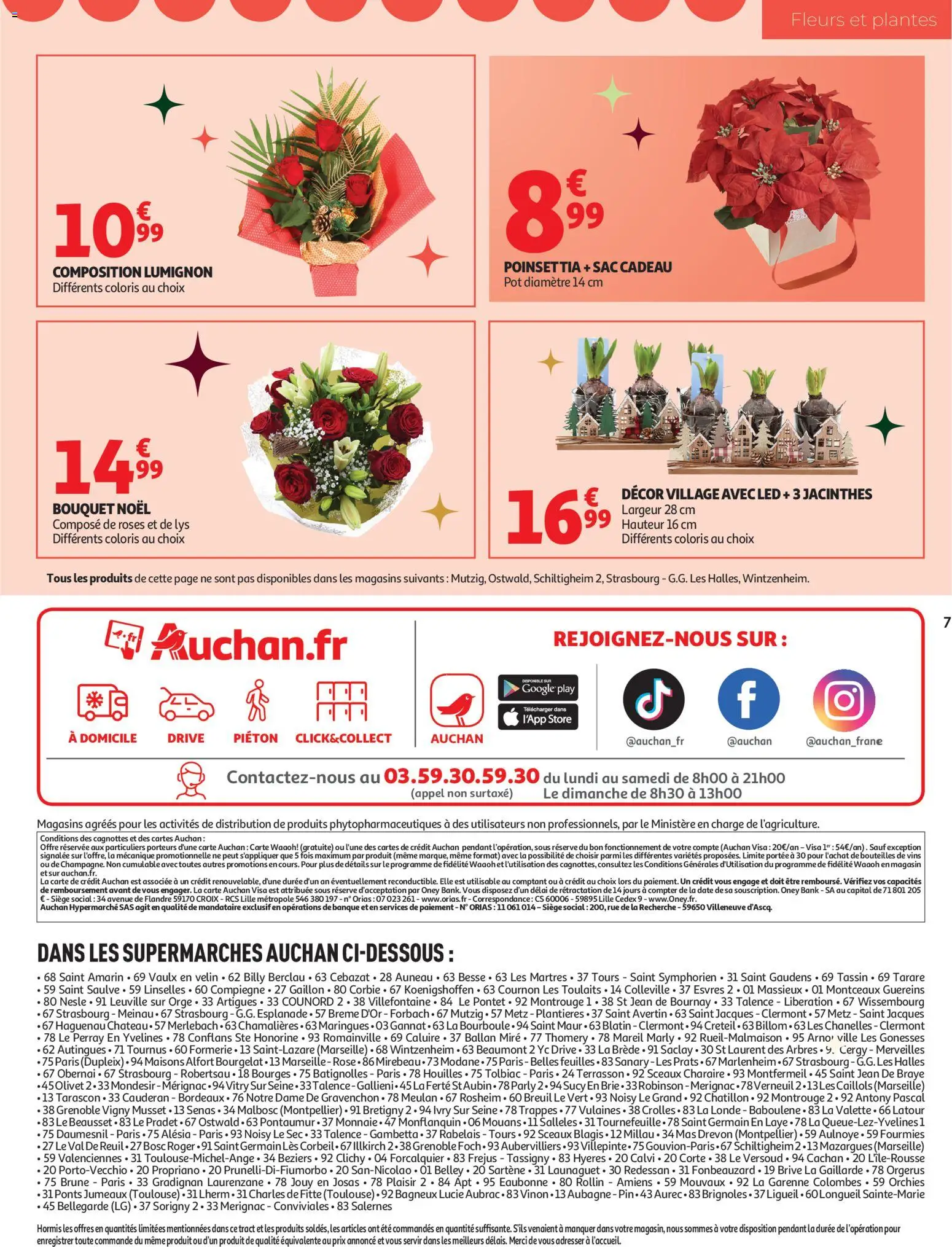 {H1} | Page: 7 | Produits: Poinsettia, Plantes, Fleurs et plantes, Store