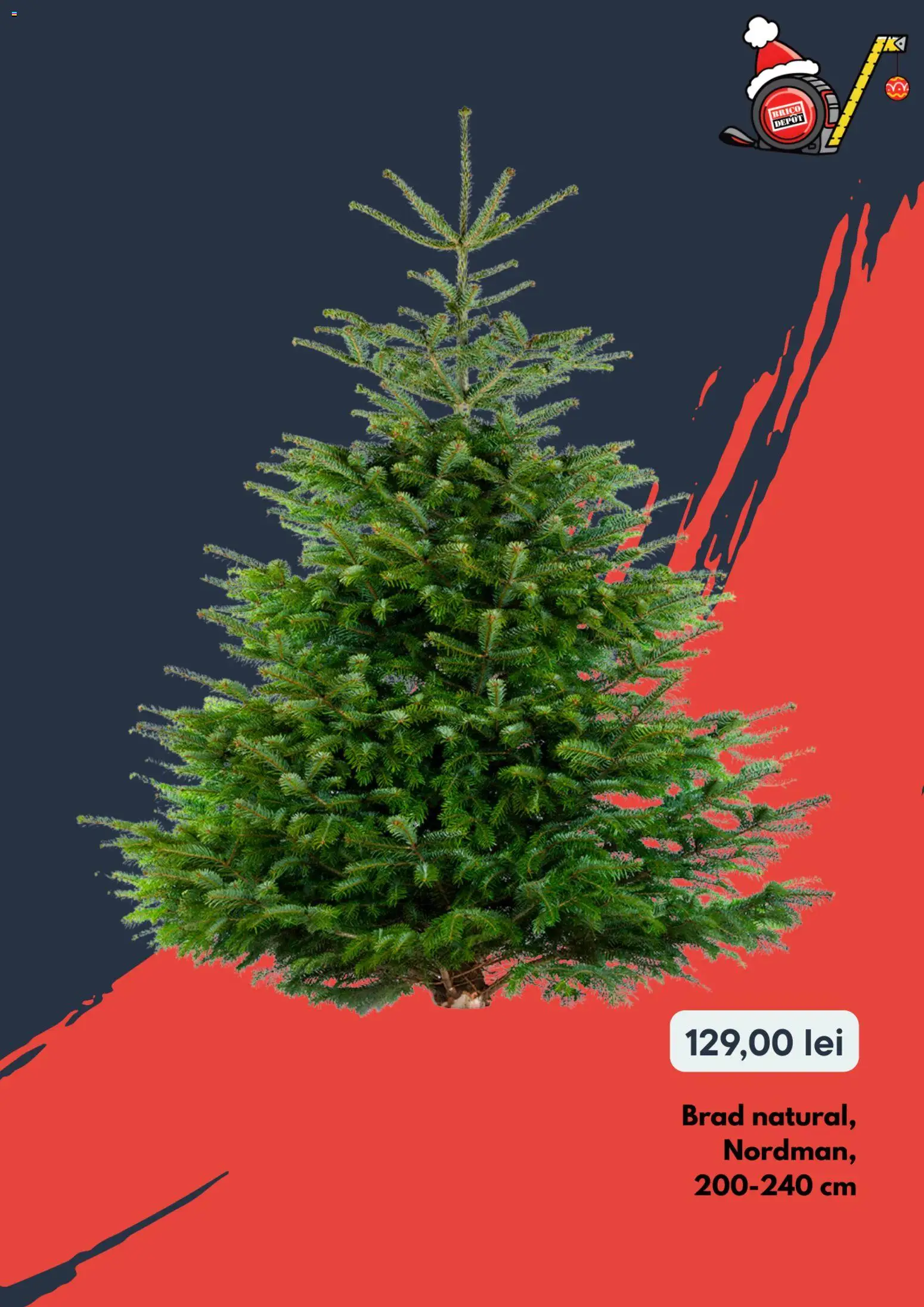 Noul catalog Brico Depot – valabil de la 18.12.2025 | Pagină: 9