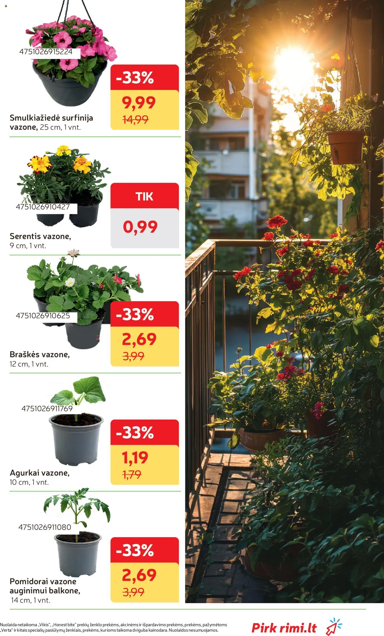 Rimi akcijos nuo 28.04.2026 | Puslapis: 27 | Prekių: Agurkai, Pomidorai, Braškės