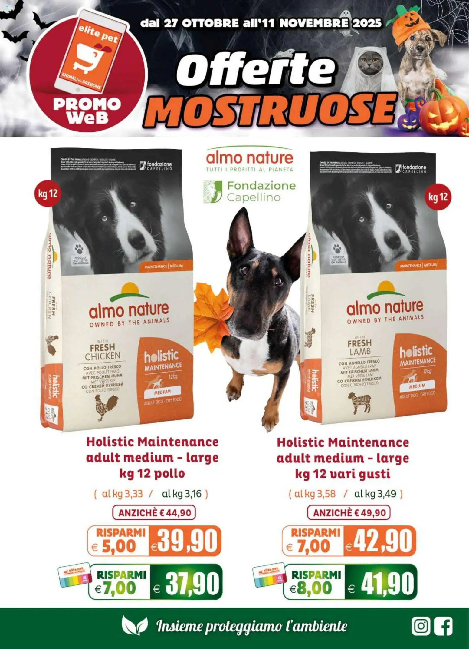 Volantino Elite Supermercati del 27.10.2025 | Pagina: 2 | Prodotti: Pollo, The, Agnello