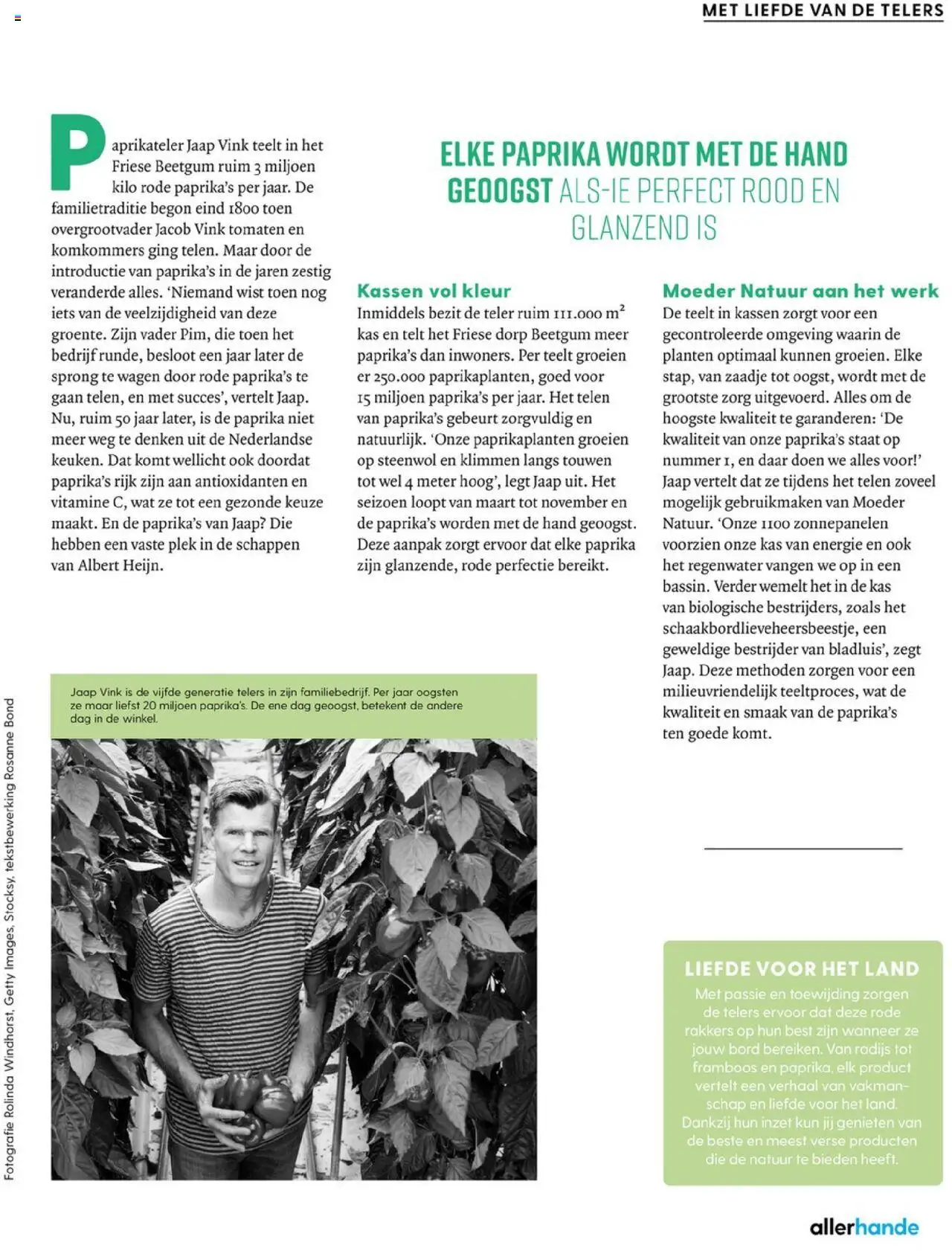  | Pagina: 65 | Producten: Tomaten, Bord, Komkommers, Kész piskótalap