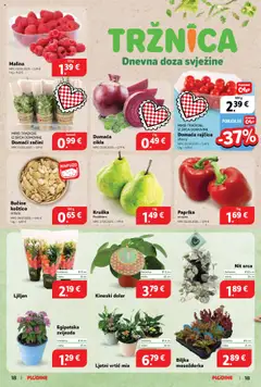 Plodine katalog | vrijedi od 30.07.2025 | Stranica: 18