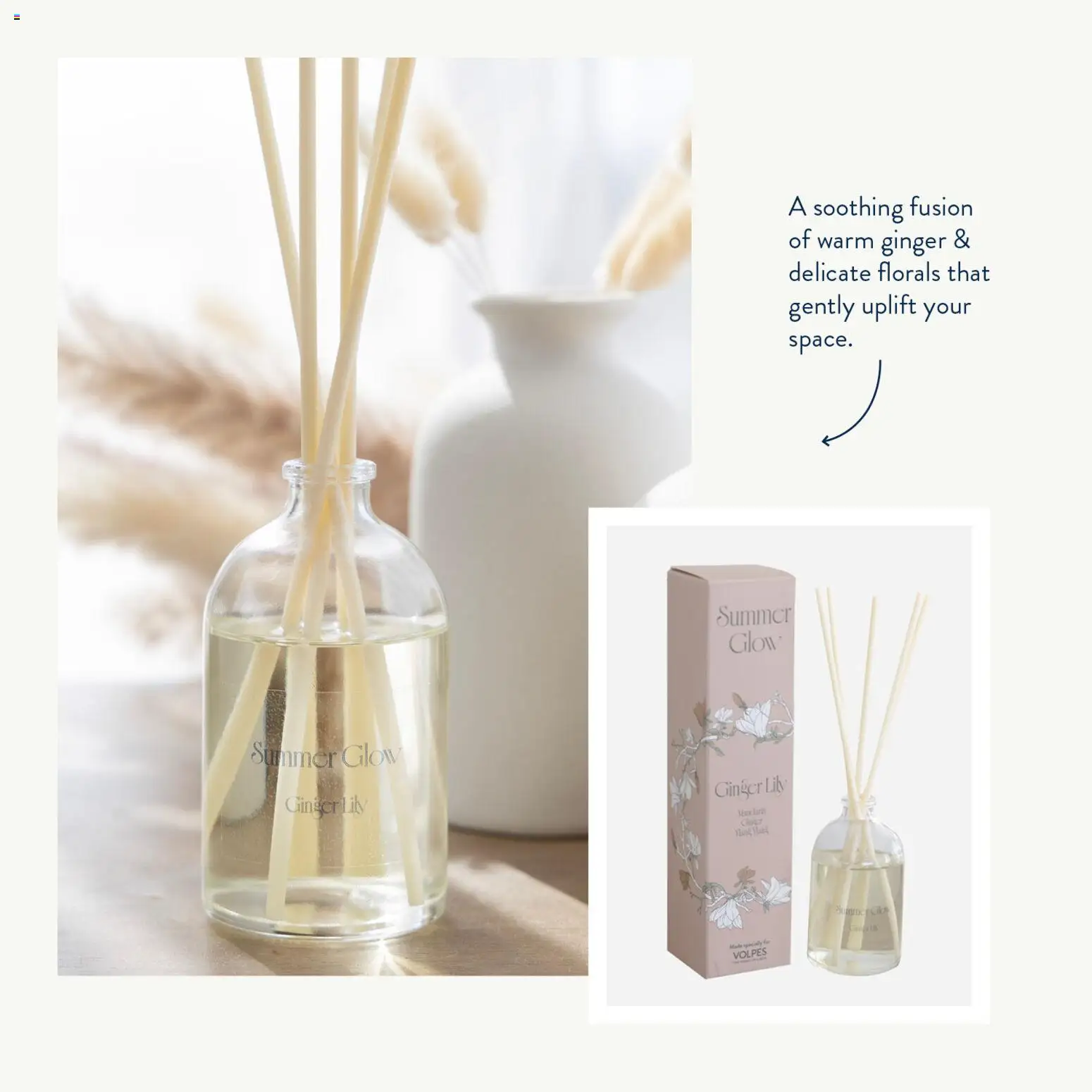 New Volpes catalogue – valid from 25.03.2026 | Page: 4