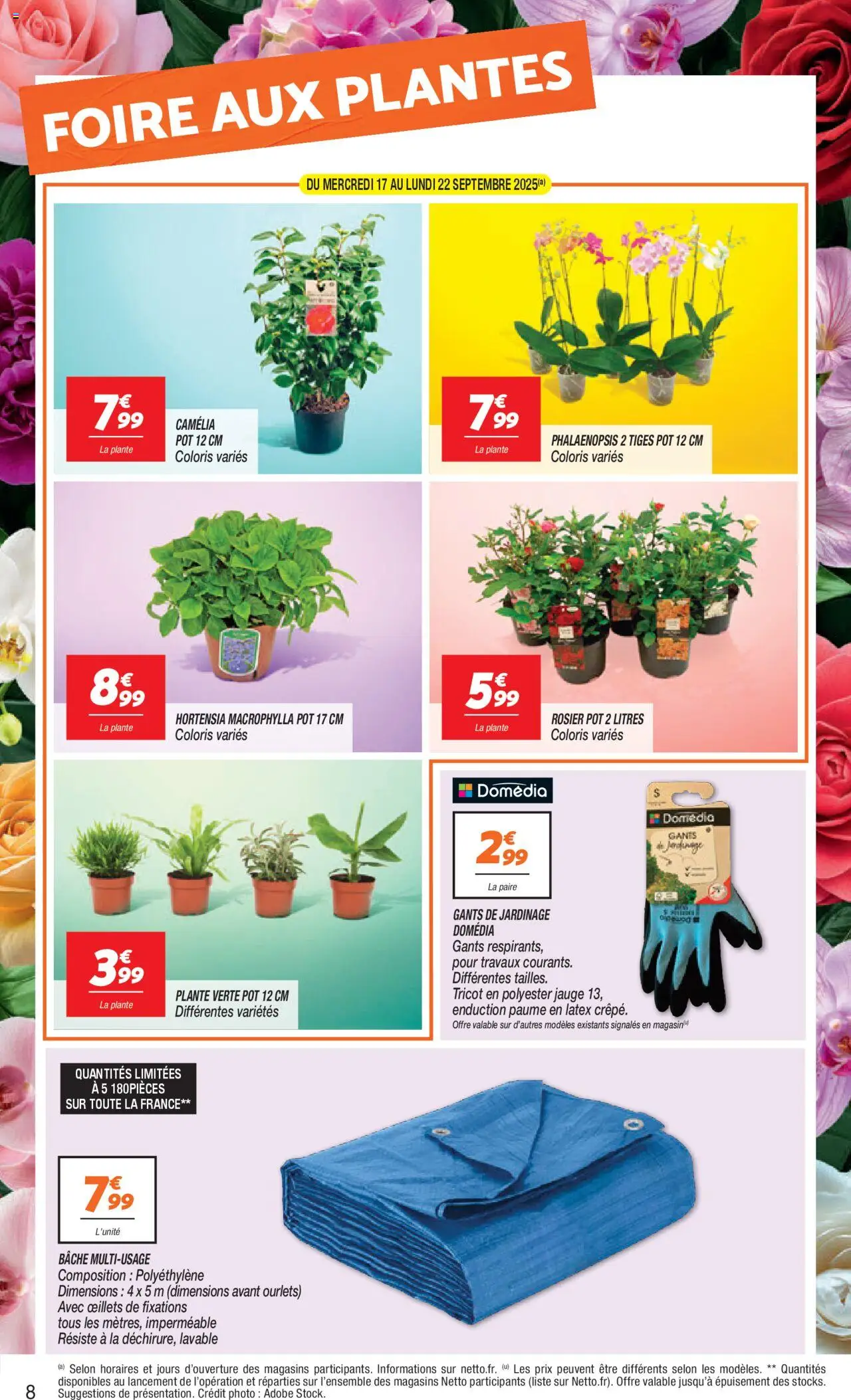  | Page: 8 | Produits: Hortensia, Rosier, Plante verte, Gants