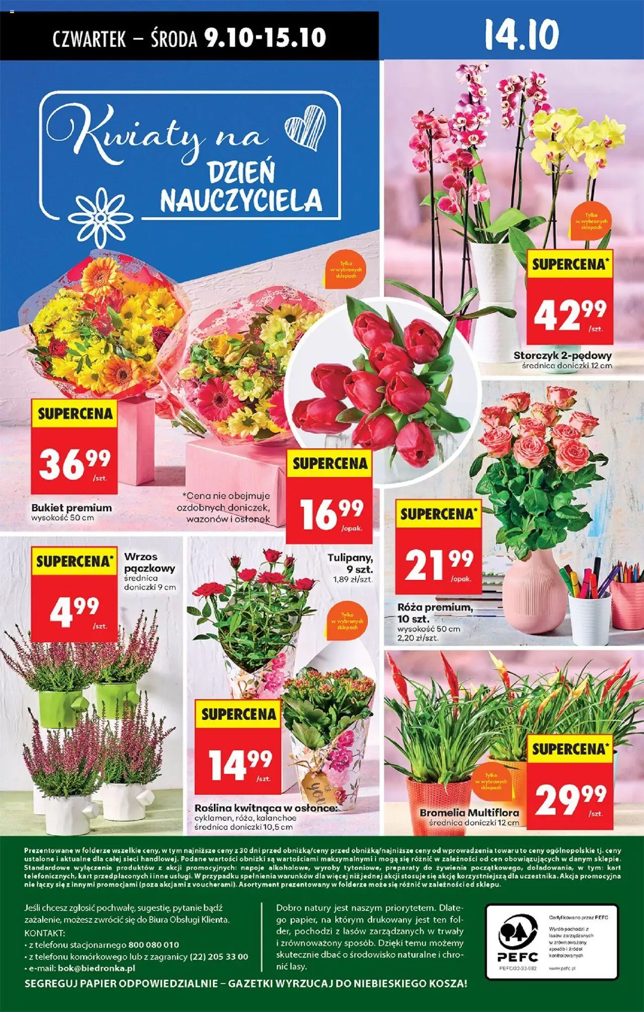 Biedronka gazetka - Oferta w tym tygodniu od 09.10.2025 | Strona: 82 | Produkty: Wrzos, Kalanchoe, Storczyk, Kwiaty