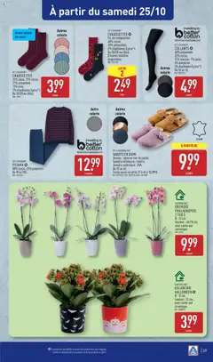 Aldi - Prévisualisation de Aldi catalogue semaine 43 valide à partir de 21.10.2025 | Page: 39 | Produits: Collants, Sabots en daim, Orchidée, Pyjama