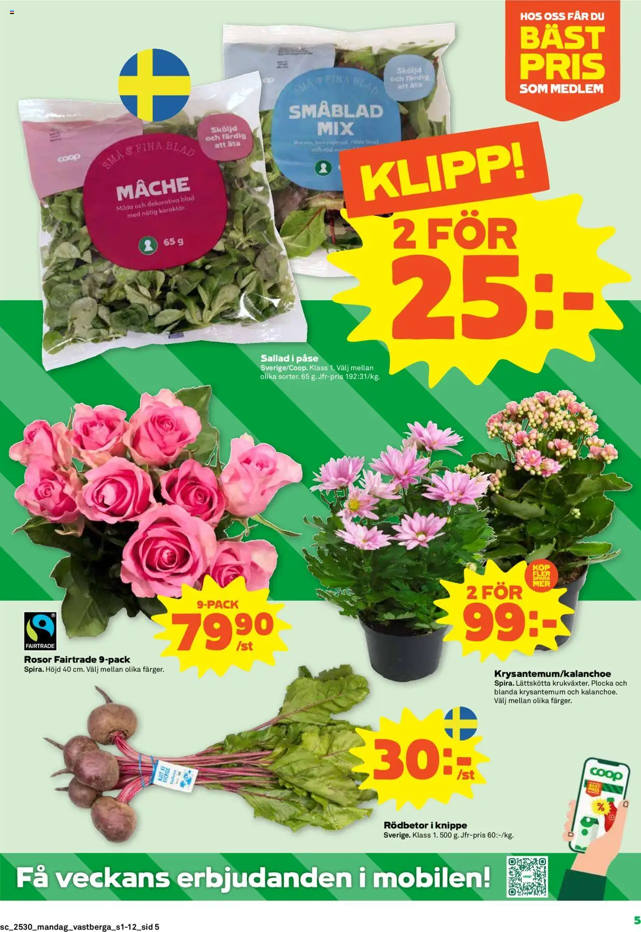 Stora Coop reklamblad aktuell från 21.07.2025 | Sida: 5 | Produkter: Sallad