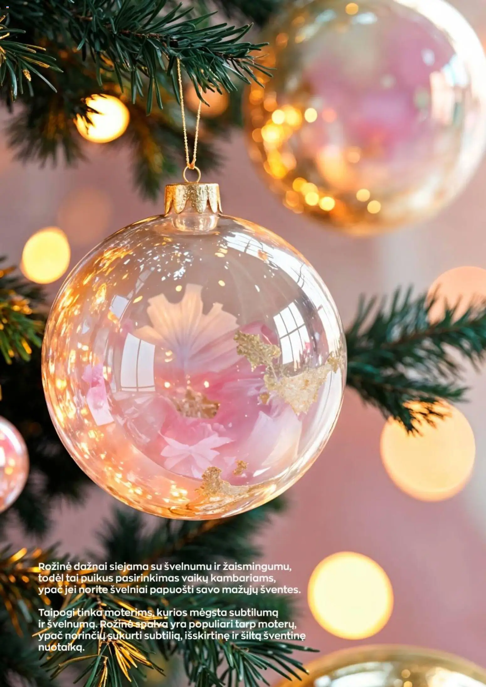 Jupoja akcijos nuo 01.11.2025 | Puslapis: 16