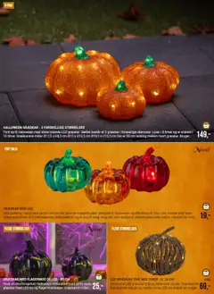 Harald Nyborg - Halloween gyldig fra 08.09.2025 | Side: 10