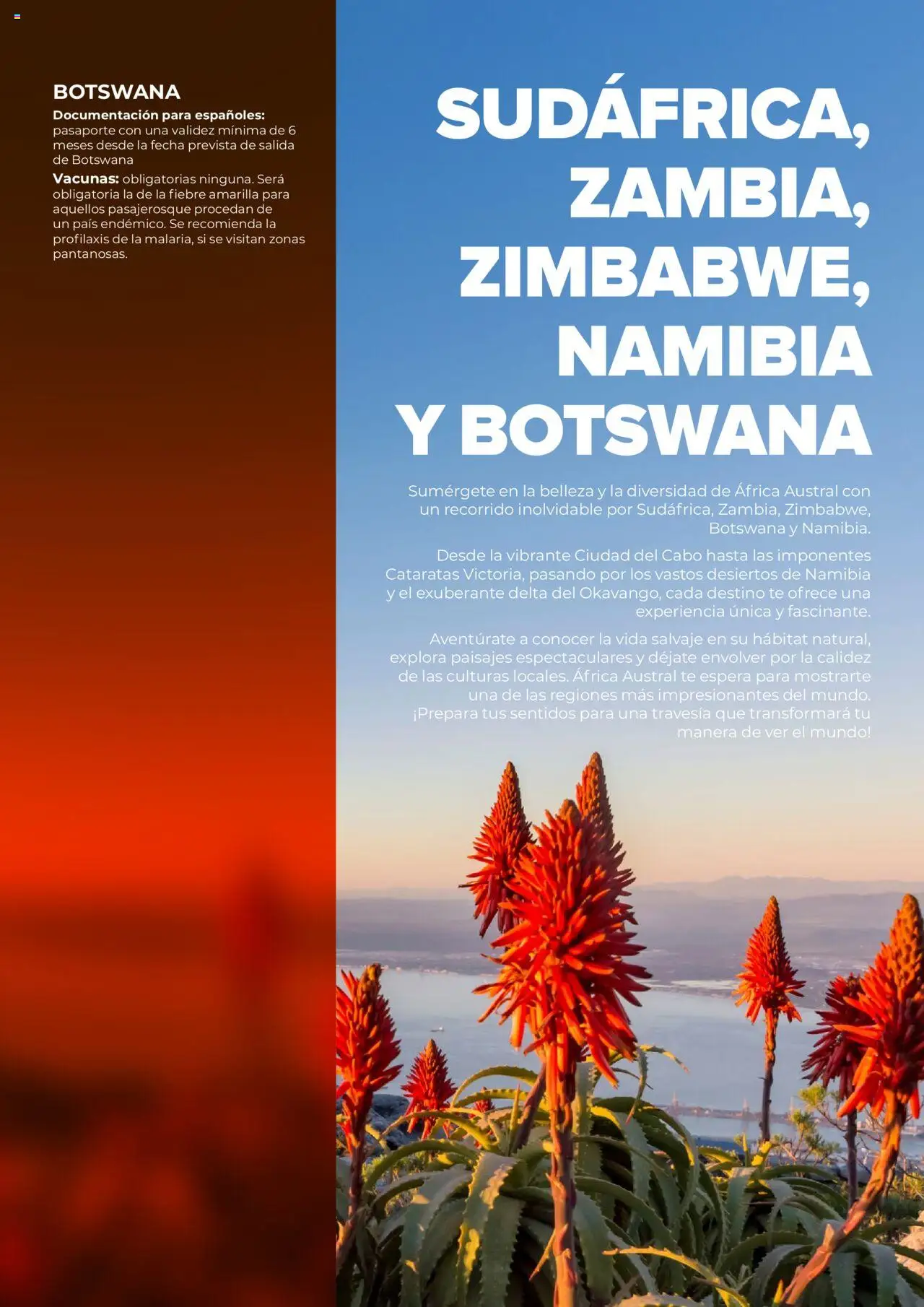 Viajes El Corte Inglés Africa y Oriente Medio │ válido desde el 01.01.2025 | Página: 41 | Productos: Té