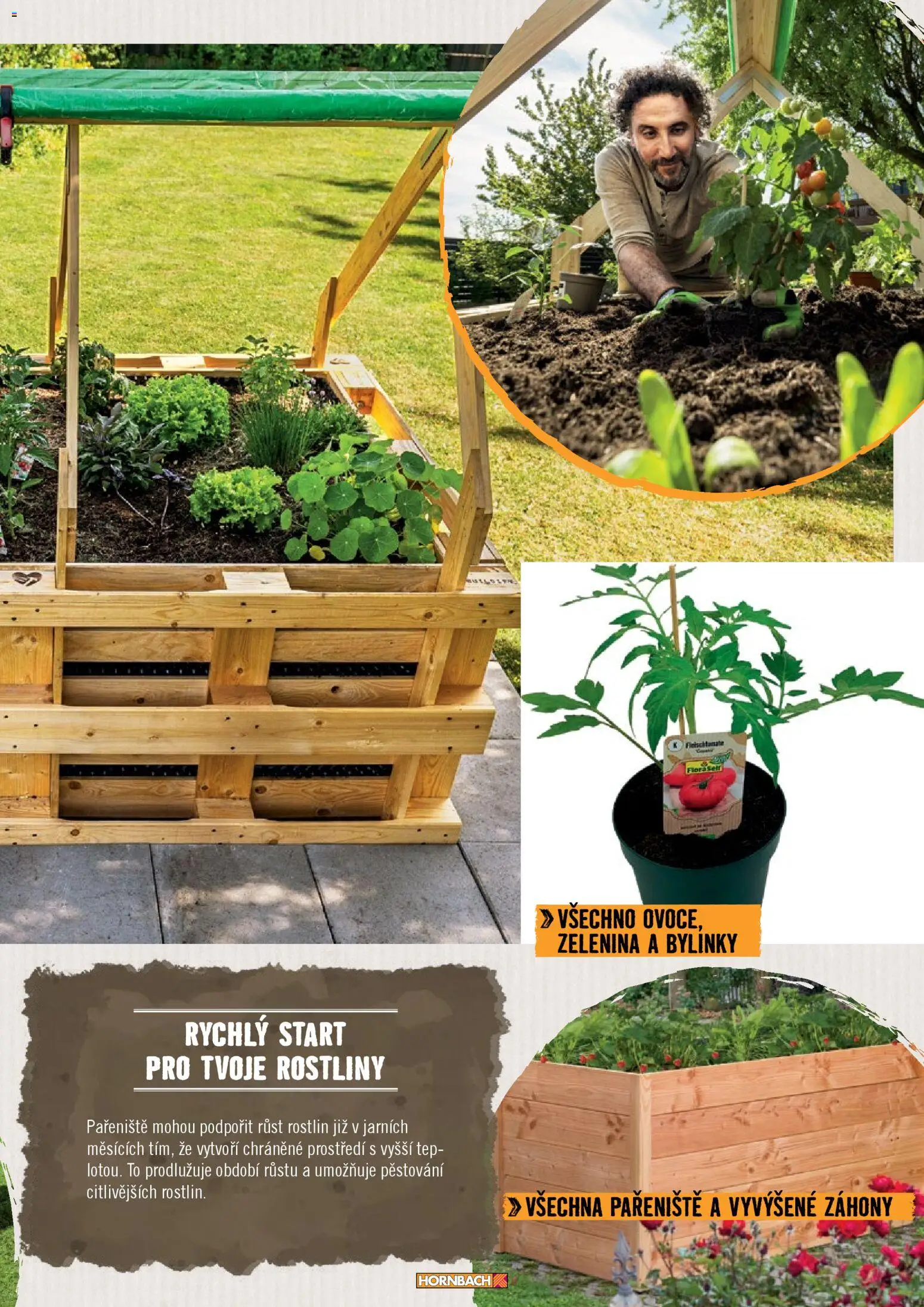 HORNBACH leták - Zahrada od 01.01.2026 | Strana: 11 | Produkty: Pařeniště, Zelenina, Rostliny