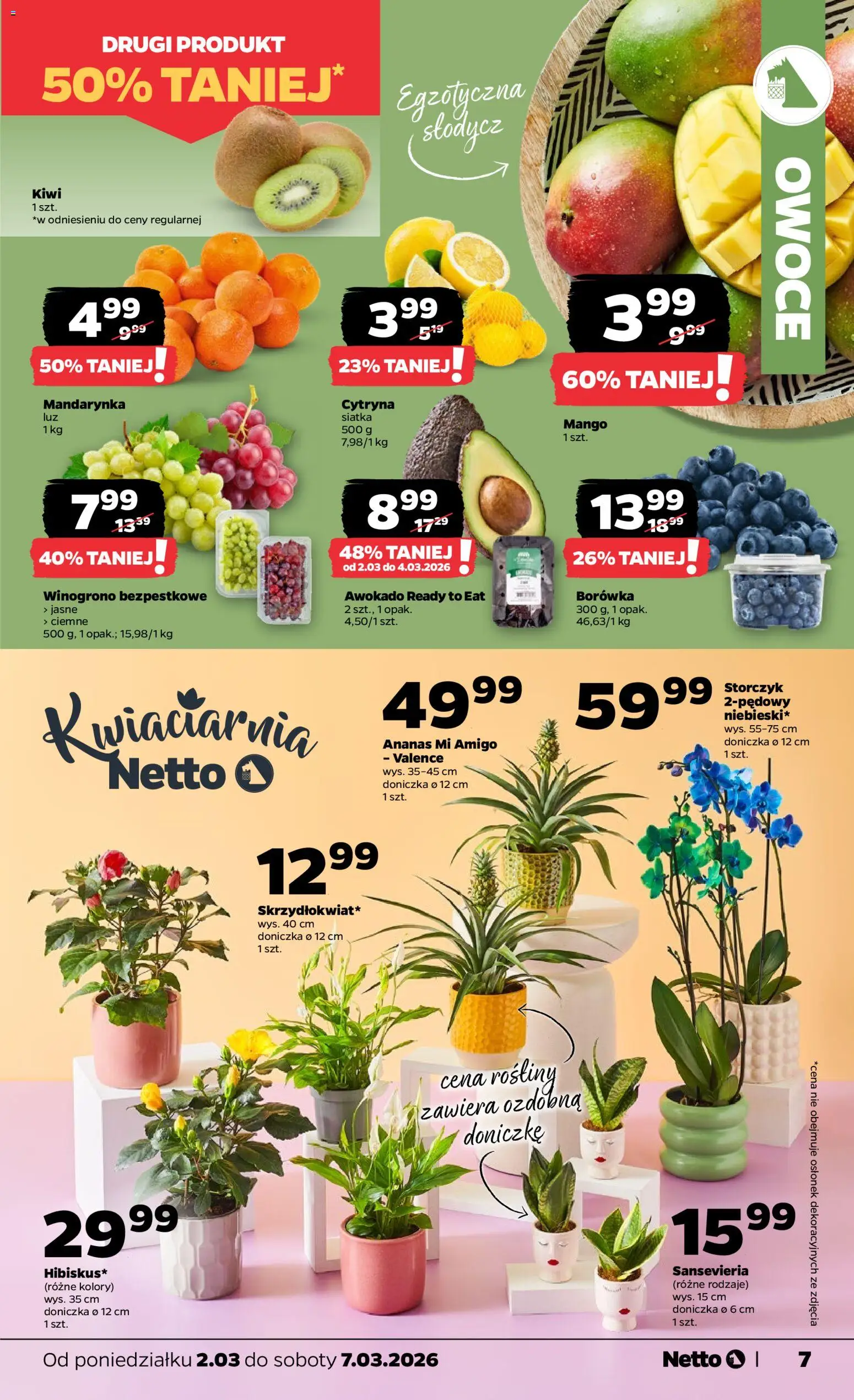 Netto gazetka od poniedziałku spożywcza od 02.03.2026 | Strona: 7 | Produkty: Cytryna, Doniczka, Ananas, Kiwi