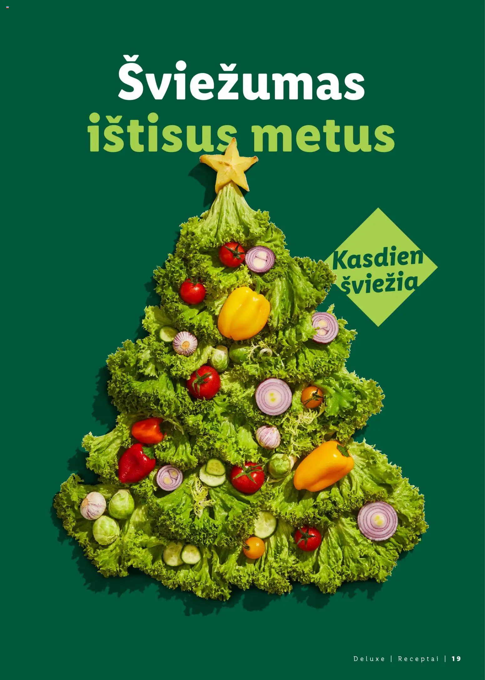 LIDL akcijos nuo 23.11.2025 | Puslapis: 19