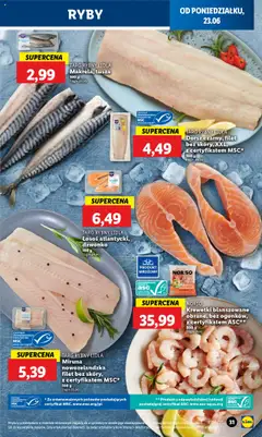 Lidl Gazetka od 23.06.2025 | Strona: 33