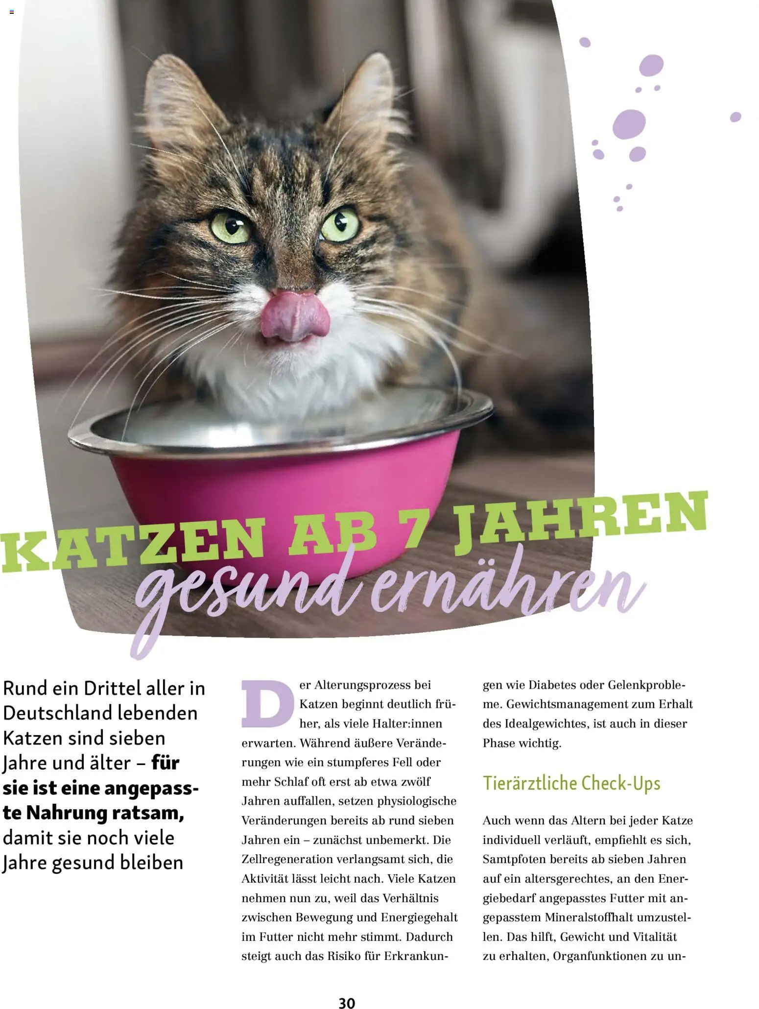 Fressnapf Friends Magazin – gültig ab 02.03.2026 | Seite: 30 | Produkte: Gewicht