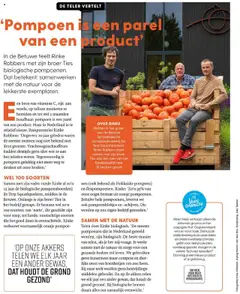 Pompoen, Oranje pompoenen, pompoenblokjes en -schijven - Voorbeeld van een folder van Albert Heijn, geldig van 06.10.2025 | Pagina: 82 | Producten: Pompoen, Kunstmest