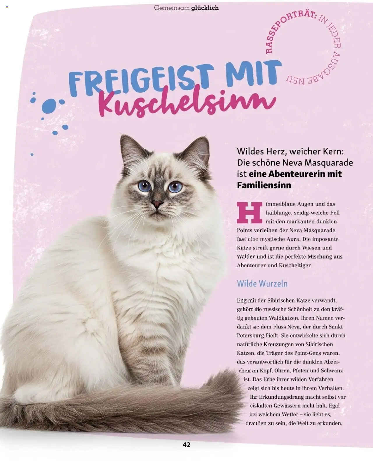 Fressnapf Friends 04/25 gültig ab 01.07.2025 | Seite: 42