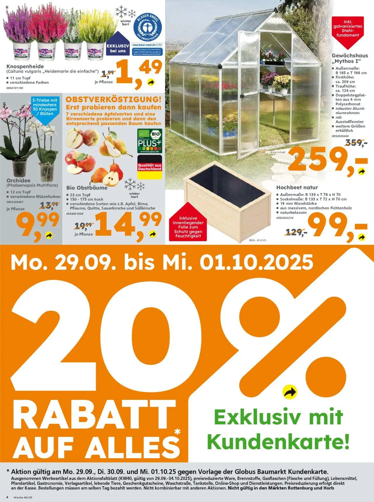 Globus Baumarkt - Saarland – gültig ab 29.09.2025 | Seite: 6 | Produkte: Hochbeet, Orchidee