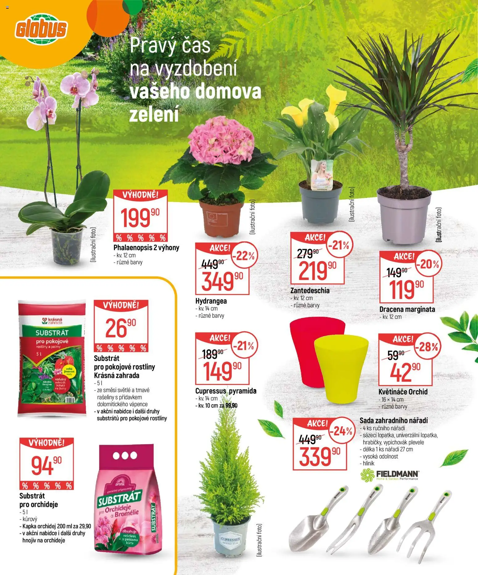 Globus leták - Zahrada od 18.02.2026 | Strana: 2 | Produkty: Květináče, Nářadí, Rostliny, Barvy