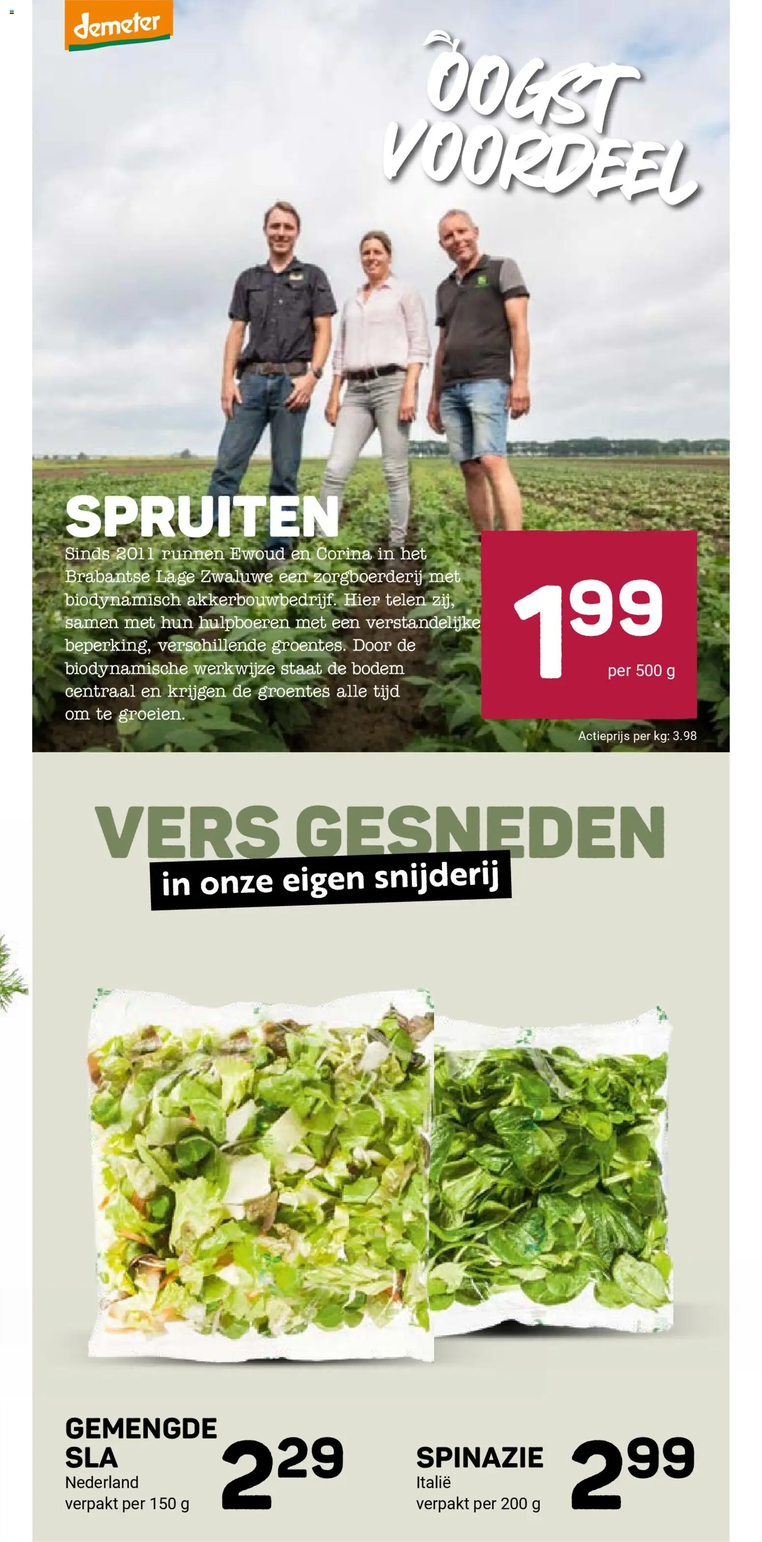 {H1} | Pagina: 15 | Producten: Spinazie