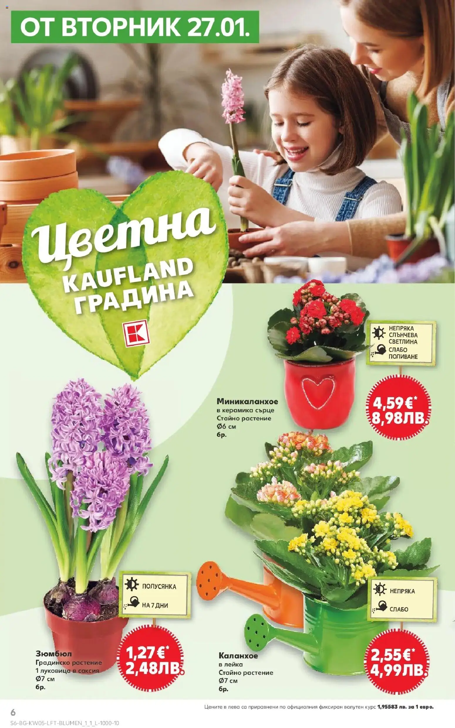 {H1} | Страница: 6 | Продукти: Саксия