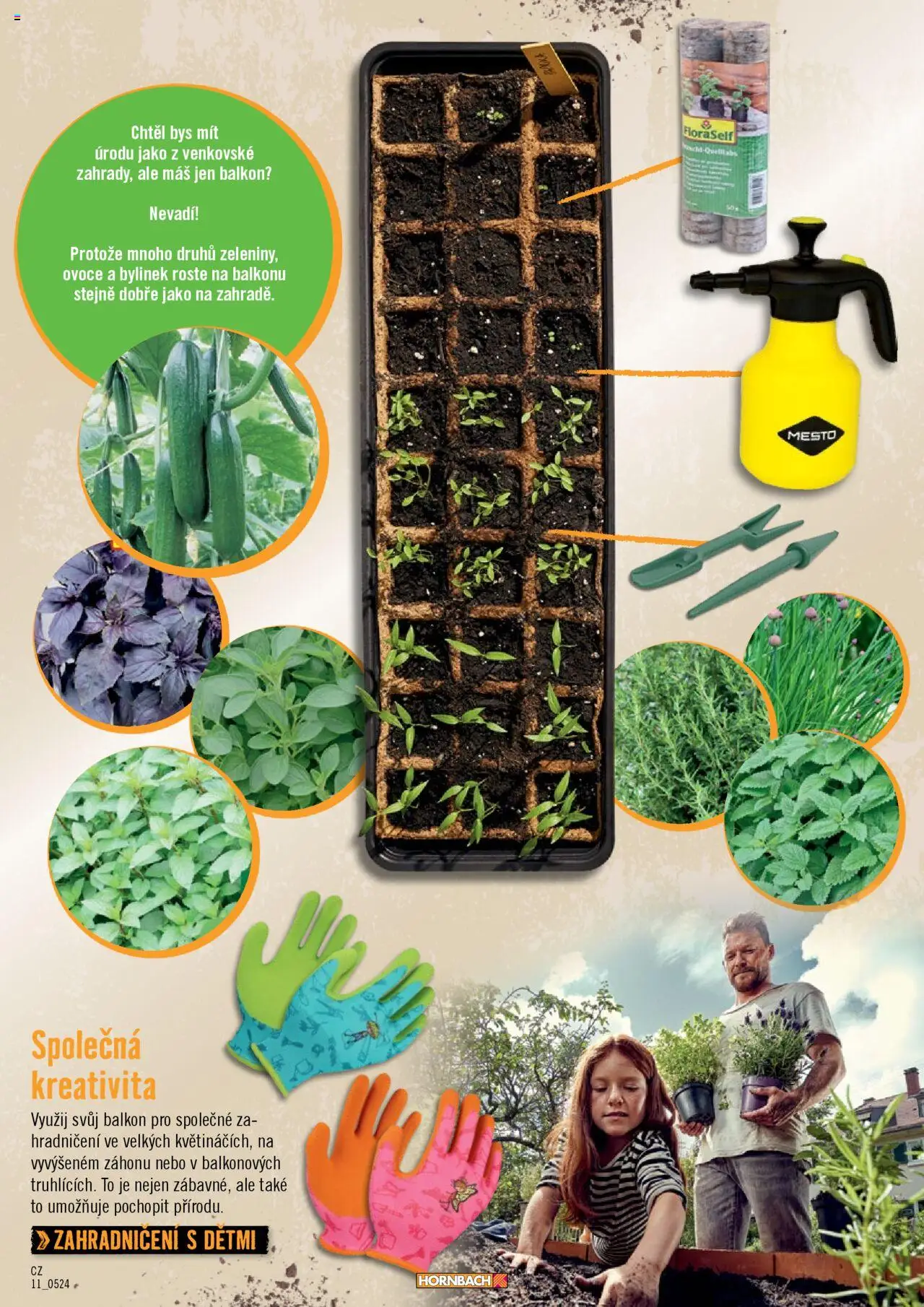 HORNBACH leták - Balkón od 13.08.2025 | Strana: 11 | Produkty: Ovoce