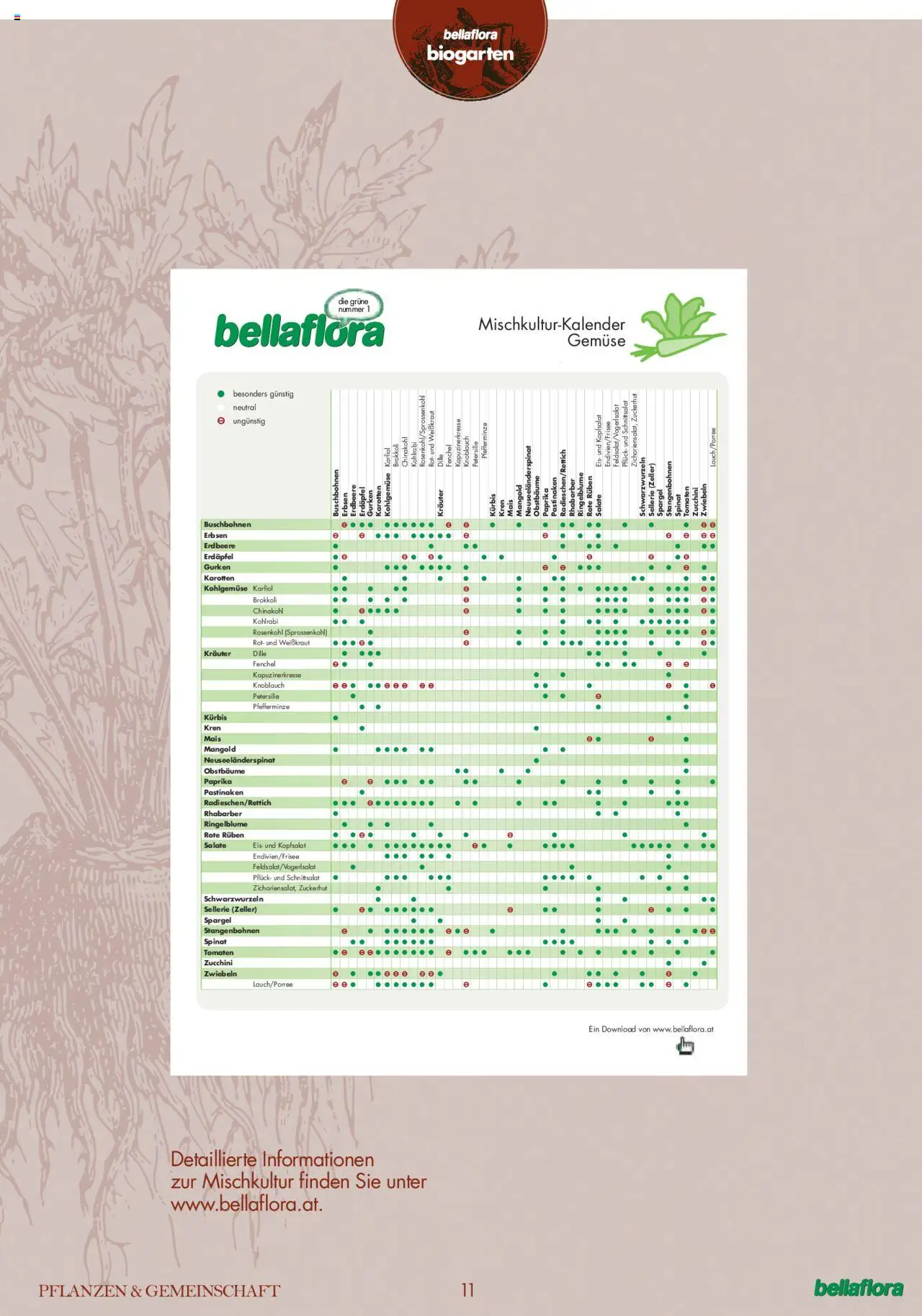 bellaflora Flugblatt gültig ab 24.06.2022 | Seite: 11