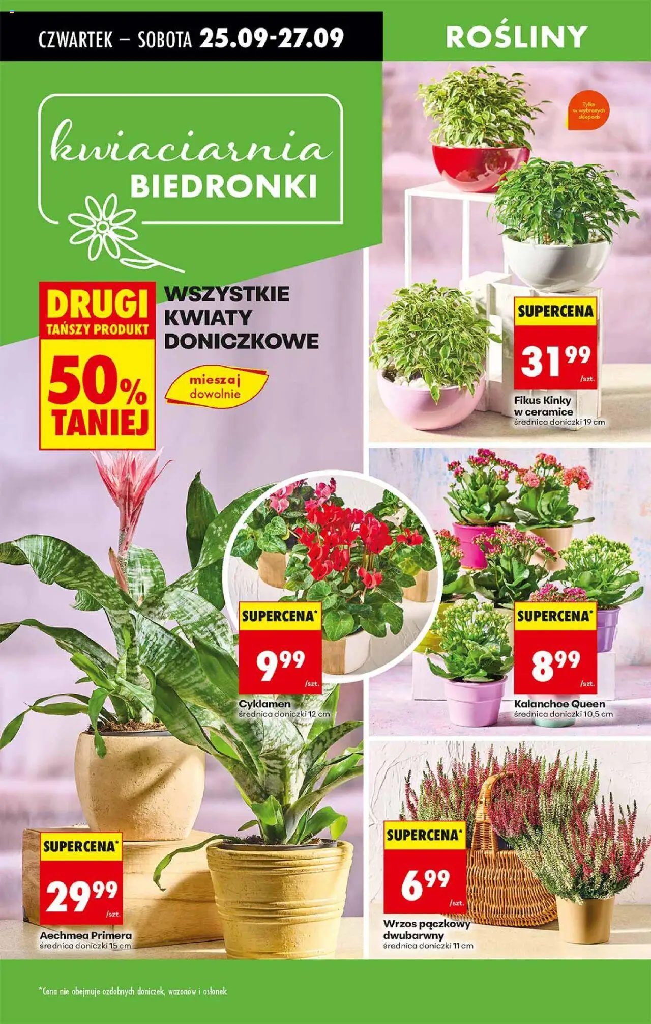 Biedronka gazetka - Oferta w tym tygodniu od 25.09.2025 | Strona: 77 | Produkty: Kwiaty doniczkowe, Doniczki, Kalanchoe, Fikus