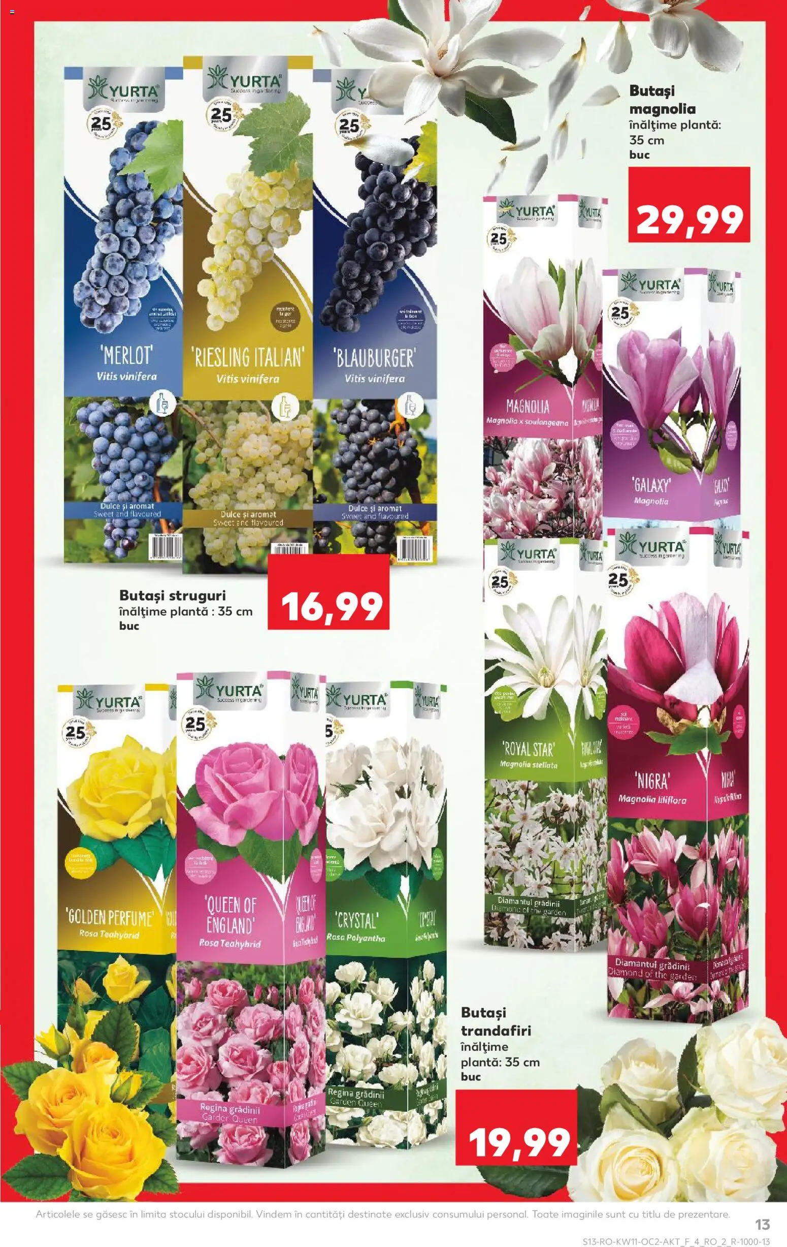 Noul catalog Kaufland – valabil de la 11.03.2026 | Pagină: 13 | Produse: Struguri