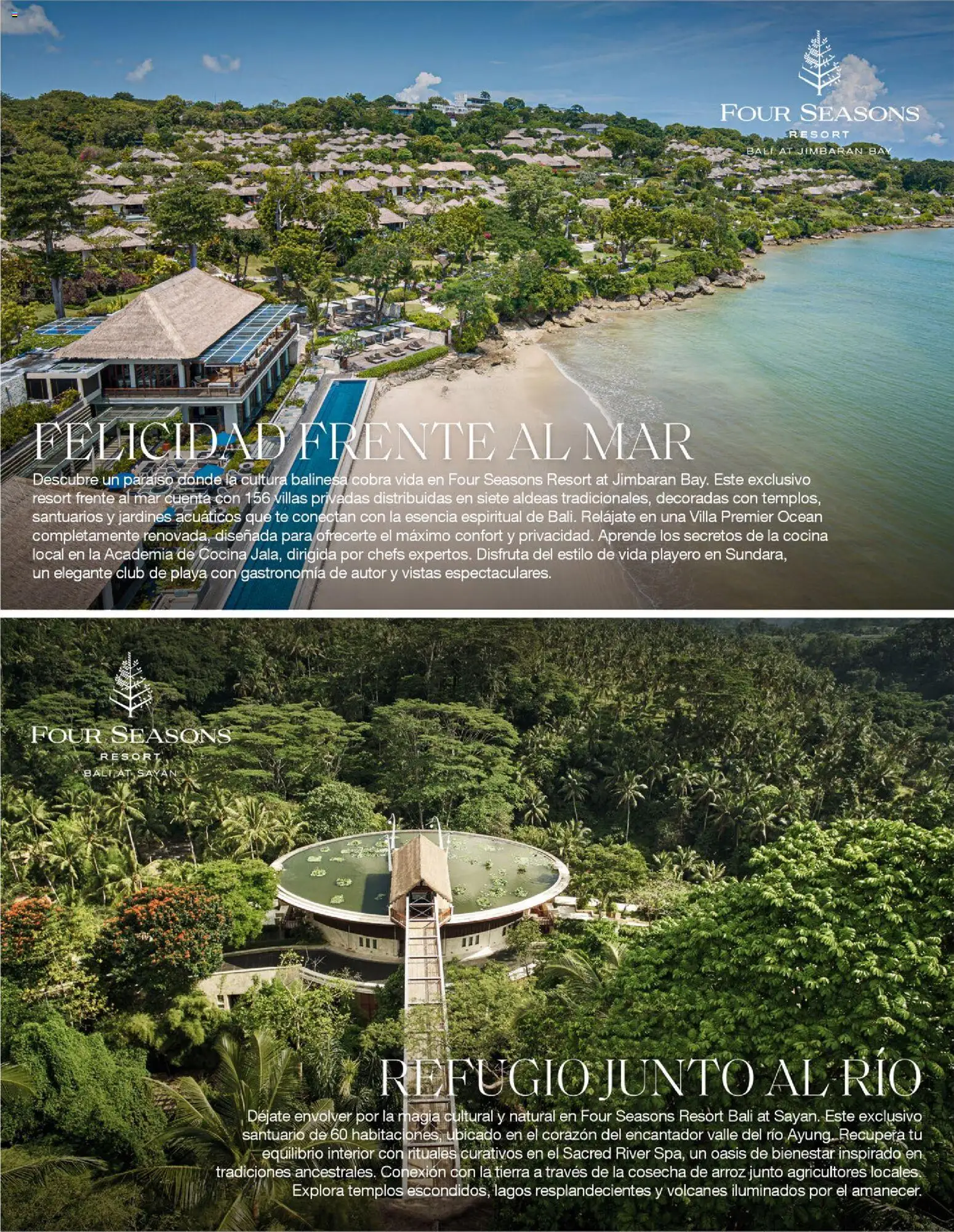 Viajes El Corte Inglés - Catálogo Tourmundial Premium │ válido desde el 01.01.2026 | Página: 141 | Productos: Arroz, Té, Cocina