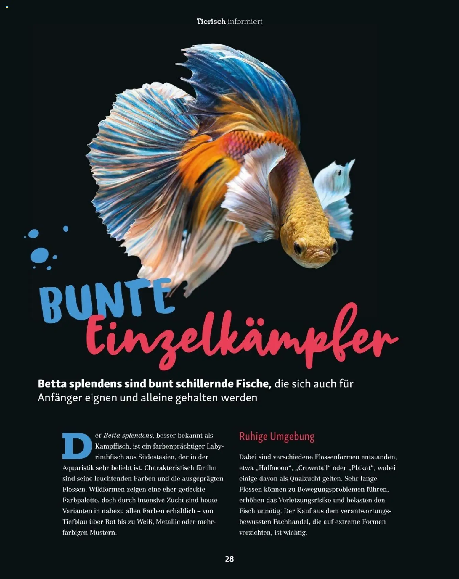 Fressnapf Friends 06/25 gültig ab 01.11.2025 | Seite: 28 | Produkte: Fisch