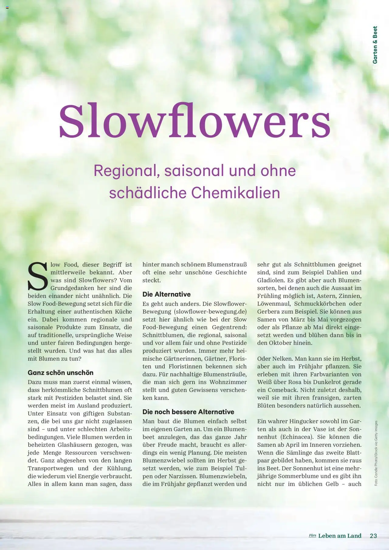 Lagerhaus Fürs Leben am Land Magazin gültig ab 28.04.2025 | Seite: 23 | Produkte: Vase