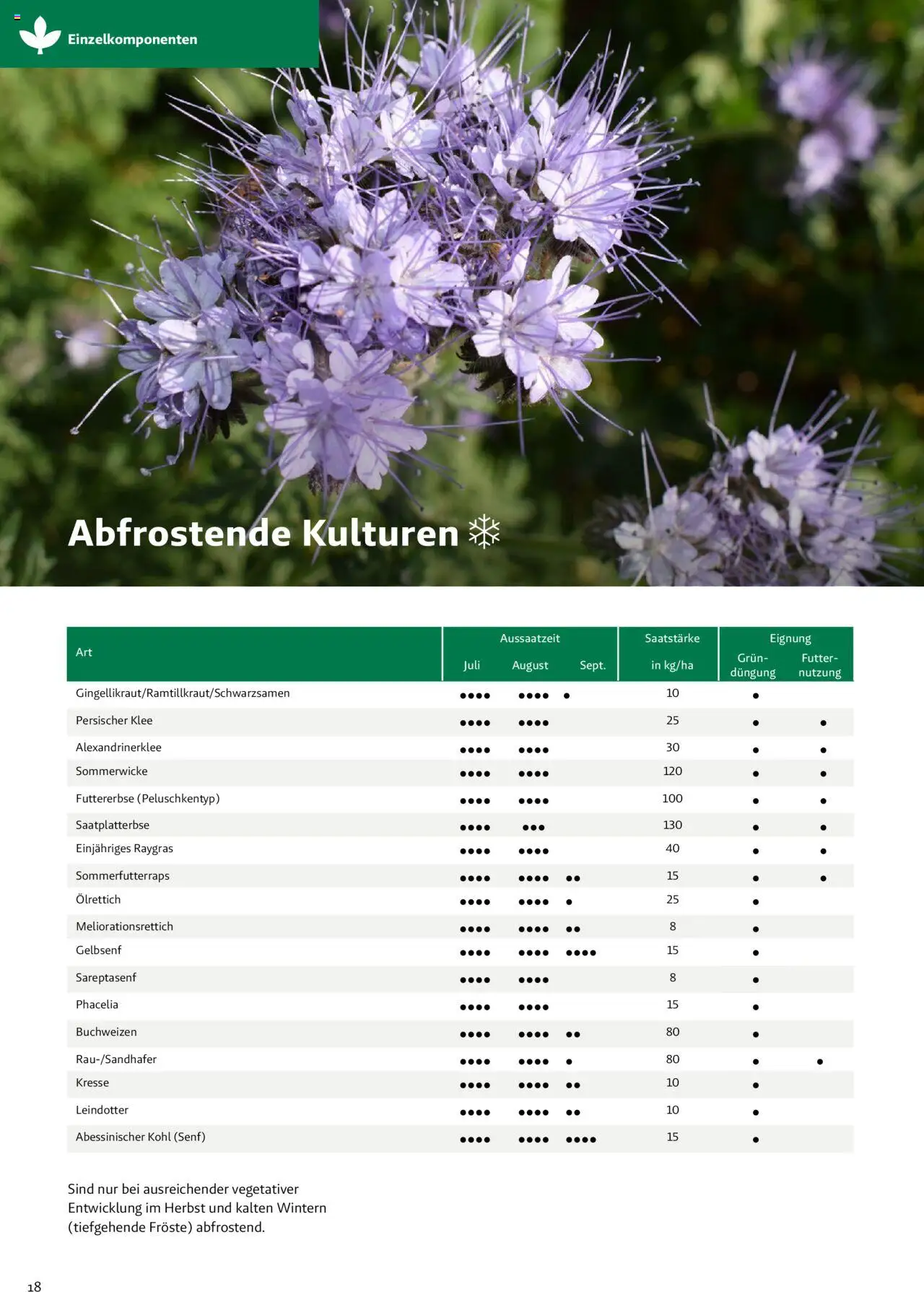 Lagerhaus Fachblatt Zwischenfrüchte & Begrünungen gültig ab 27.03.2025 | Seite: 18