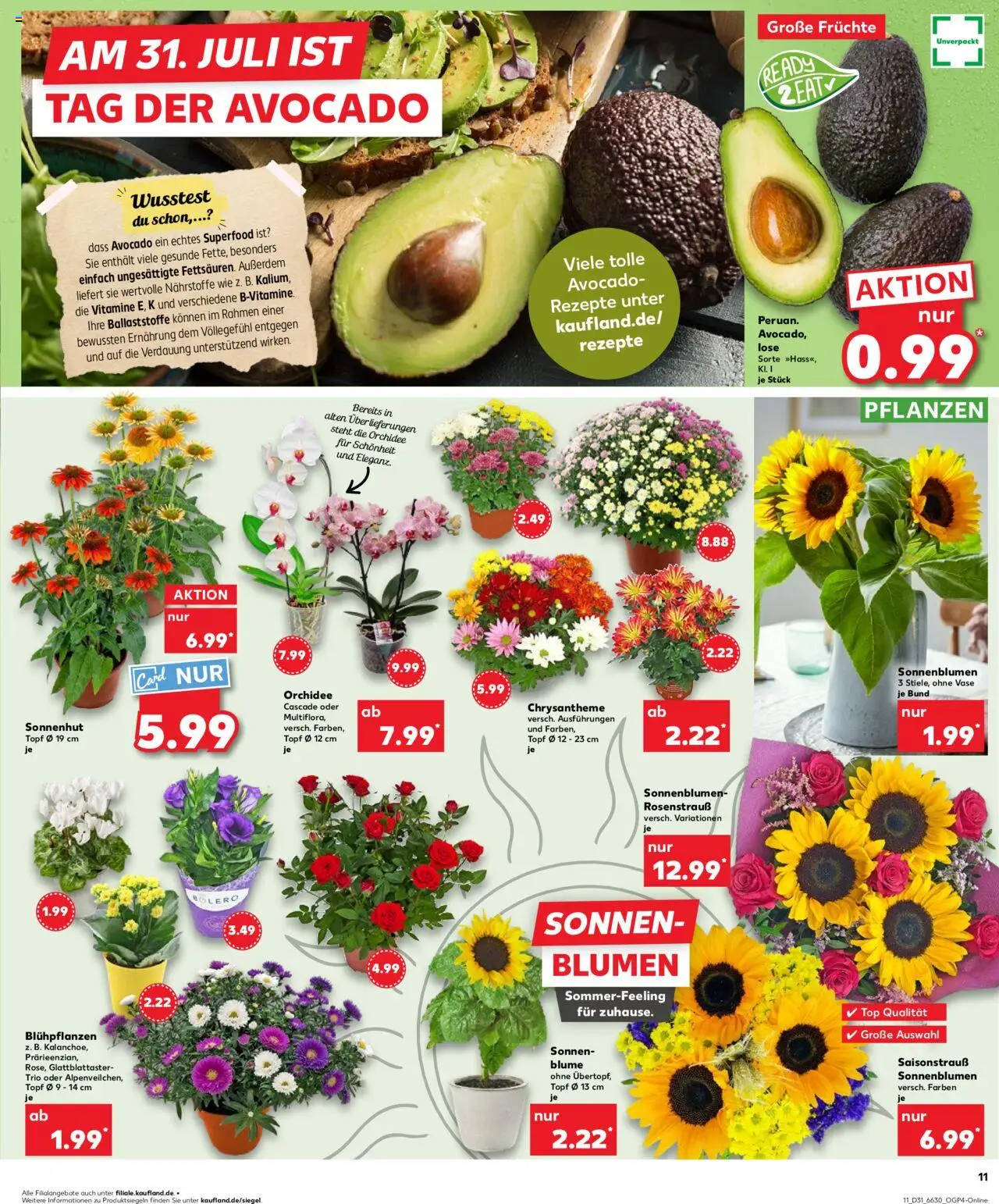 Kaufland prospekt Hannover	 - gültig ab dem 31.07.2025 | Seite: 11 | Produkte: Bolero, Orchidee, Vase, Avocado