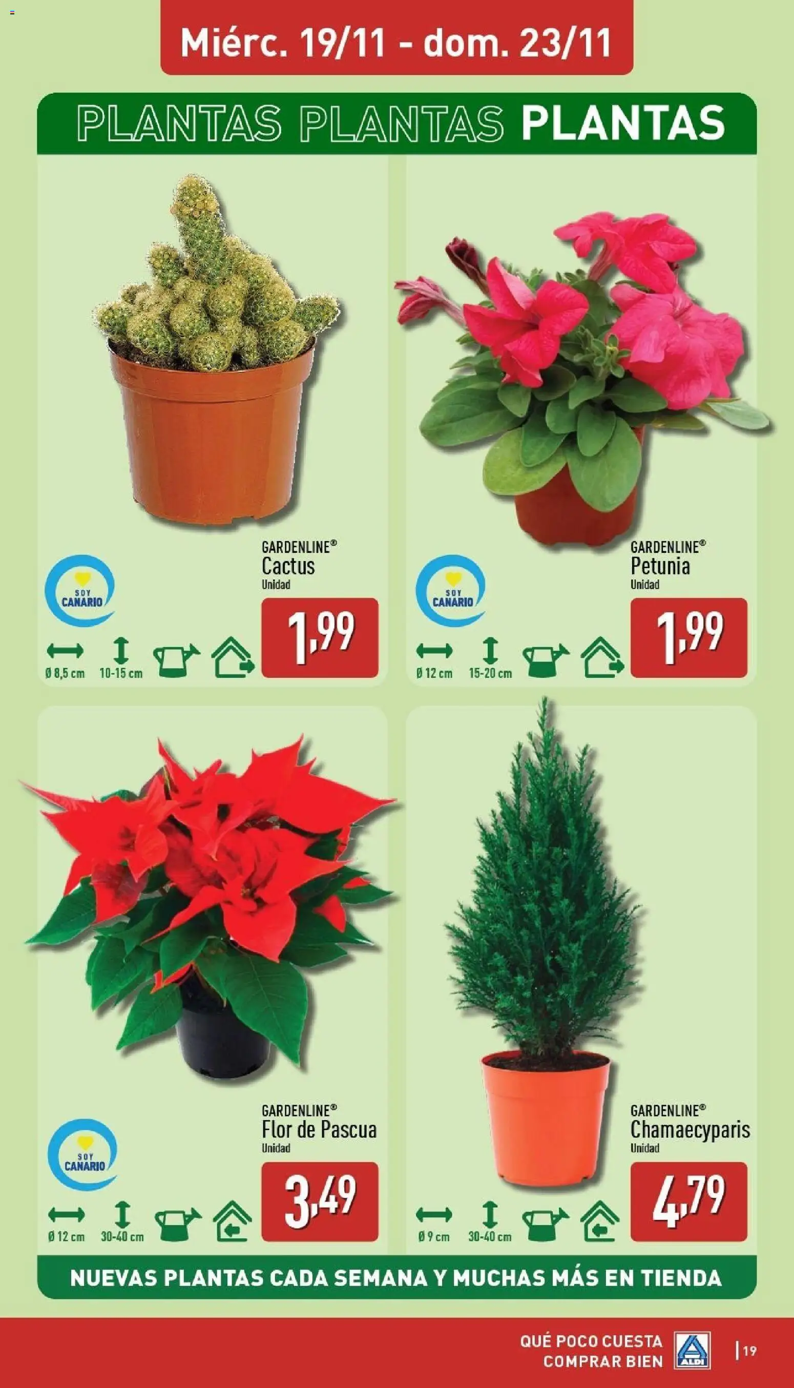 Aldi folleto Canarias │ válido desde el 17.11.2025 | Página: 19