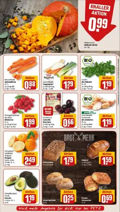 Rewe prospekt Pulsnitz	 ab 26.10.2025 gültig | Seite: 9 | Produkte: Vollkornbrot, Orangen, Avocado, Brot