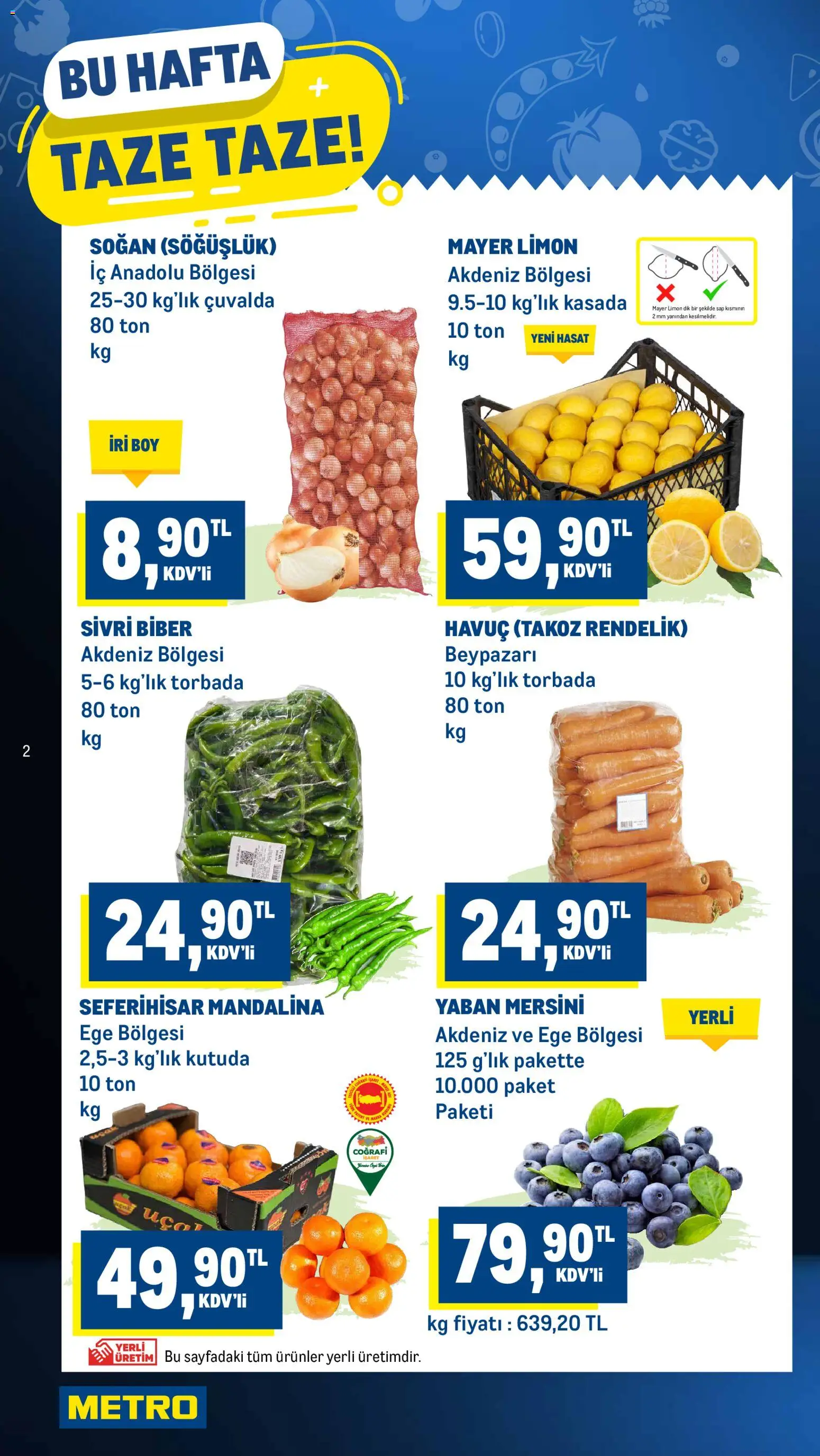 Metro Katalog - 12.11.2025 tarihinden itibaren geçerlidir | Sayfa: 2 | Ürünler: Taze soğan, Soğan, Biber, Limon