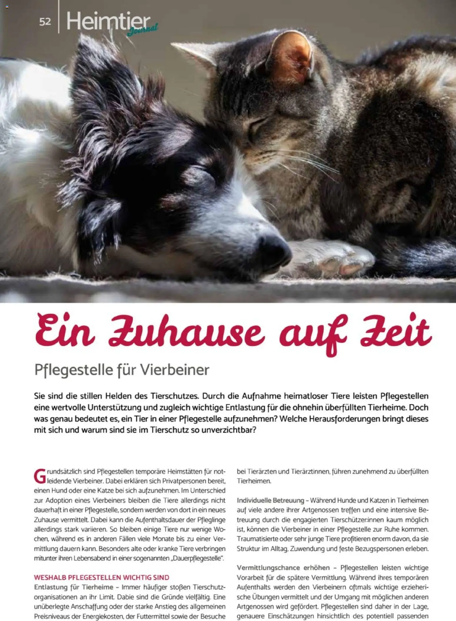 zookauf - Heimtier Journal – gültig ab 01.12.2025 | Seite: 52
