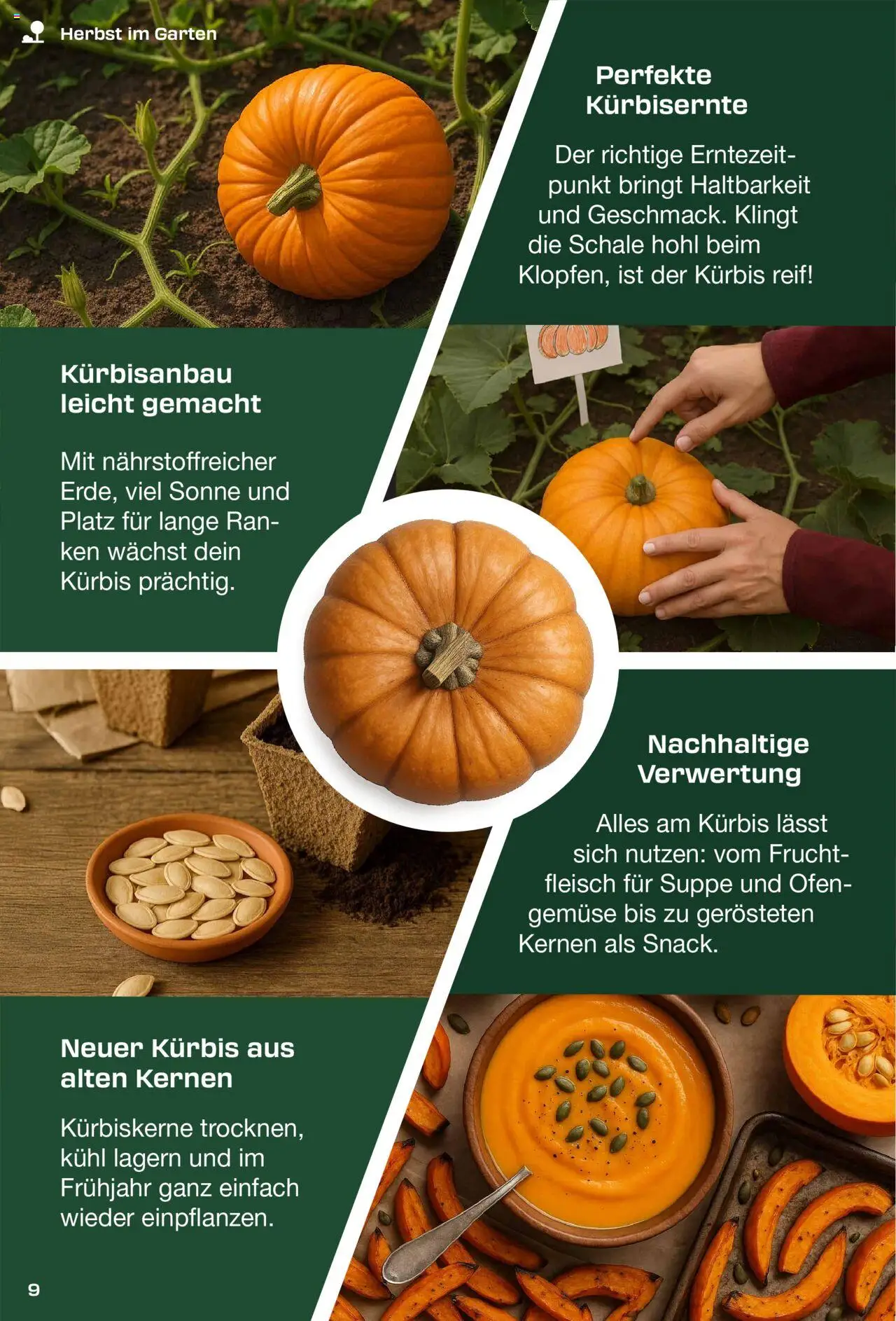 Lidl - Das DIY-Magazin Herbst 2025 gültig ab 01.09.2025 | Seite: 9 | Produkte: Gemüse, Kürbis, Ofen