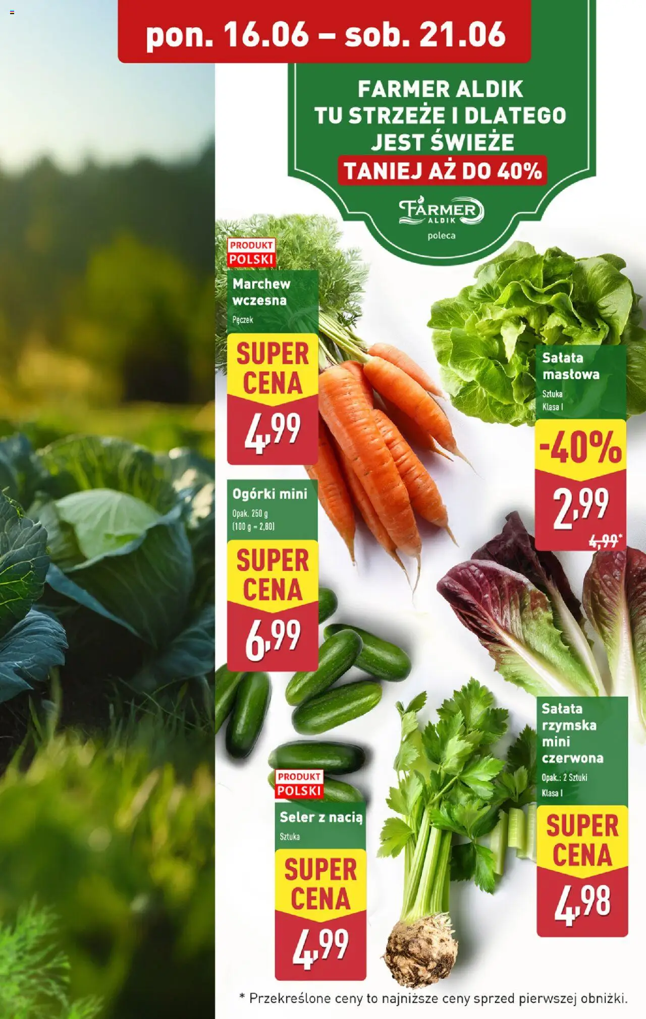 Aldi Gazetka od 16.06.2025 | Strona: 5 | Produkty: Ogórki