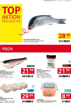 Transgourmet Flugblatt gültig ab 13.07.2025 | Seite: 13
